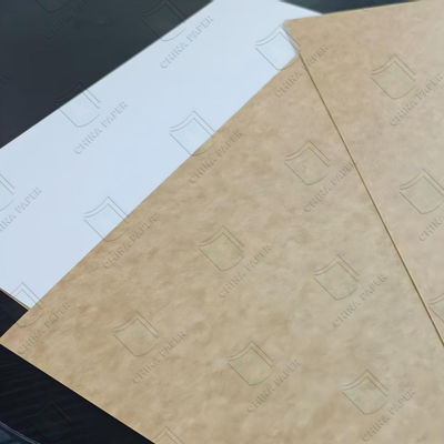 Cartão Kraft Revestido para Alimentos CKB à Prova de Umidade 600x900mm 700x1000mm